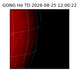 gong - 2026-08-25T12:00:22
