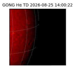 gong - 2026-08-25T14:00:22
