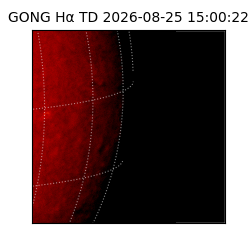 gong - 2026-08-25T15:00:22