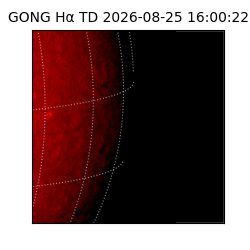 gong - 2026-08-25T16:00:22