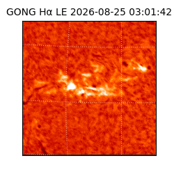 gong - 2026-08-25T03:01:42