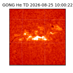 gong - 2026-08-25T10:00:22