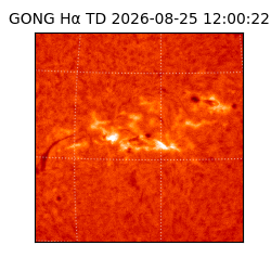 gong - 2026-08-25T12:00:22