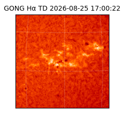 gong - 2026-08-25T17:00:22