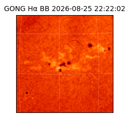 gong - 2026-08-25T22:22:02