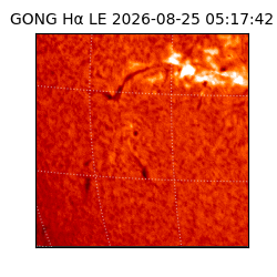 gong - 2026-08-25T05:17:42