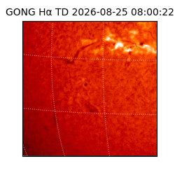 gong - 2026-08-25T08:00:22
