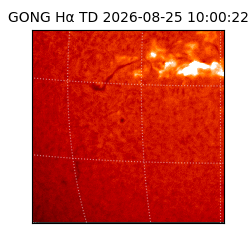 gong - 2026-08-25T10:00:22
