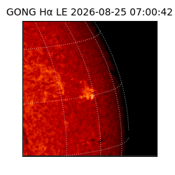 gong - 2026-08-25T07:00:42