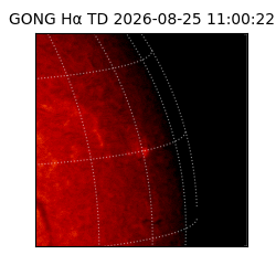 gong - 2026-08-25T11:00:22