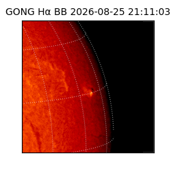 gong - 2026-08-25T21:11:03