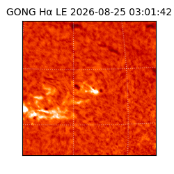 gong - 2026-08-25T03:01:42