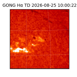 gong - 2026-08-25T10:00:22
