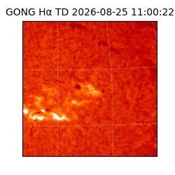 gong - 2026-08-25T11:00:22