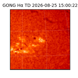 gong - 2026-08-25T15:00:22