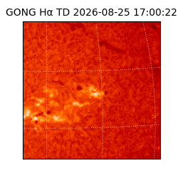 gong - 2026-08-25T17:00:22
