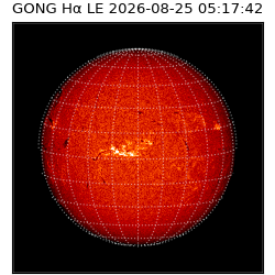 gong - 2026-08-25T05:17:42