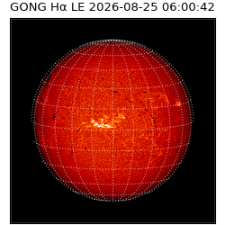 gong - 2026-08-25T06:00:42