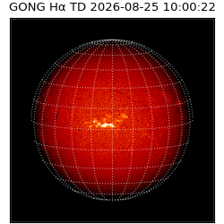 gong - 2026-08-25T10:00:22
