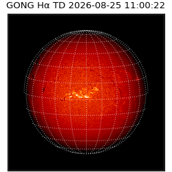 gong - 2026-08-25T11:00:22