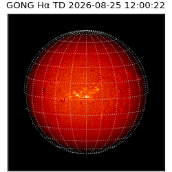 gong - 2026-08-25T12:00:22