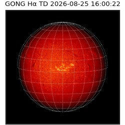 gong - 2026-08-25T16:00:22