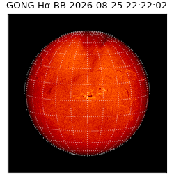 gong - 2026-08-25T22:22:02