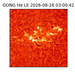 gong - 2026-08-26T03:00:42