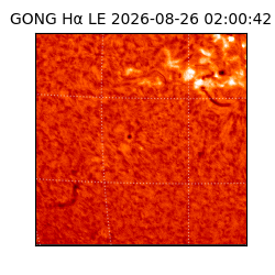 gong - 2026-08-26T02:00:42