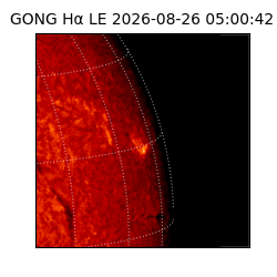 gong - 2026-08-26T05:00:42