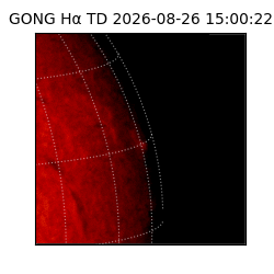gong - 2026-08-26T15:00:22