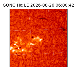 gong - 2026-08-26T06:00:42