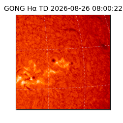 gong - 2026-08-26T08:00:22