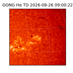 gong - 2026-08-26T09:00:22