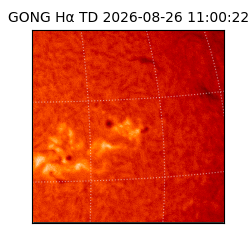 gong - 2026-08-26T11:00:22