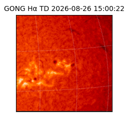 gong - 2026-08-26T15:00:22