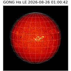 gong - 2026-08-26T01:00:42