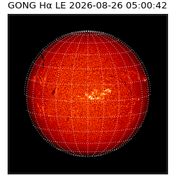gong - 2026-08-26T05:00:42