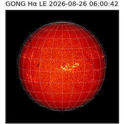 gong - 2026-08-26T06:00:42