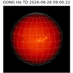 gong - 2026-08-26T09:00:22