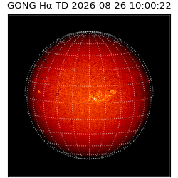 gong - 2026-08-26T10:00:22