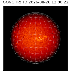 gong - 2026-08-26T12:00:22