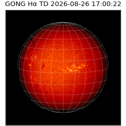 gong - 2026-08-26T17:00:22