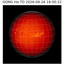 gong - 2026-08-26T18:00:22