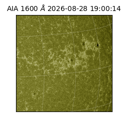 saia - 2026-08-28T19:00:14.130000