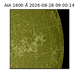 saia - 2026-08-28T09:00:14.120000