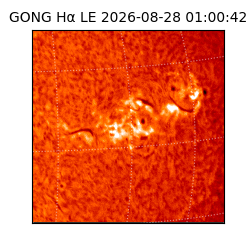 gong - 2026-08-28T01:00:42