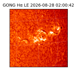 gong - 2026-08-28T02:00:42