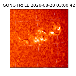 gong - 2026-08-28T03:00:42