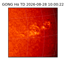 gong - 2026-08-28T10:00:22